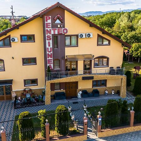 Pensiunea Teo Caransebeş Exterior foto