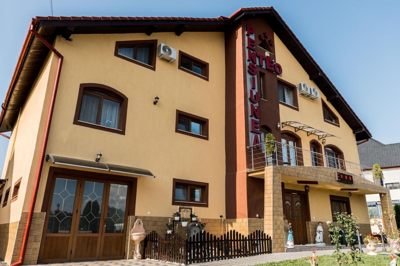 Pensiunea Teo Caransebeş Exterior foto